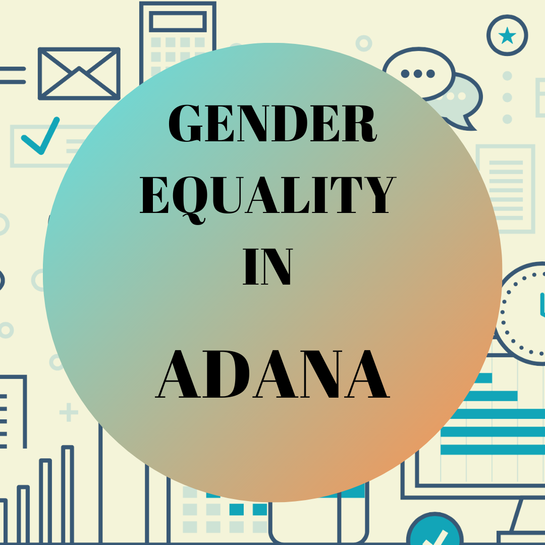 Provincial Data of Adana Local Gender Equality Platform
