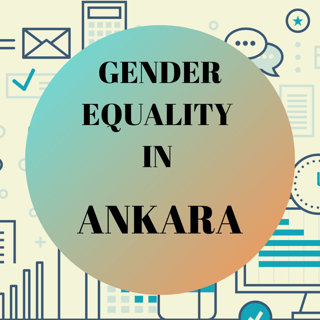 Provincial Data of Ankara Local Gender Equality Platform