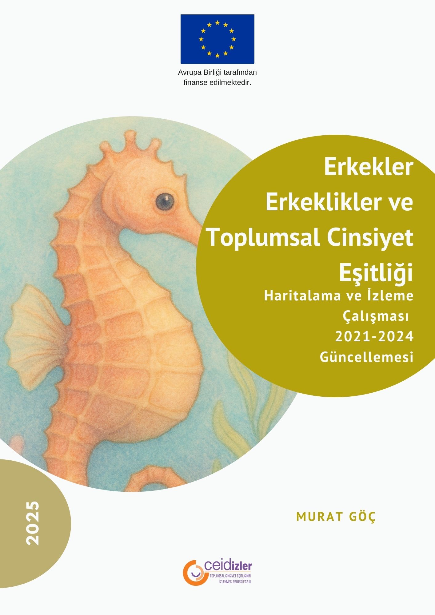 Erkekler, Erkeklikler ve Toplumsal Cinsiyet Esitligi Haritalama ve Izleme Çalismasi 2021- 2024 Güncellemesi