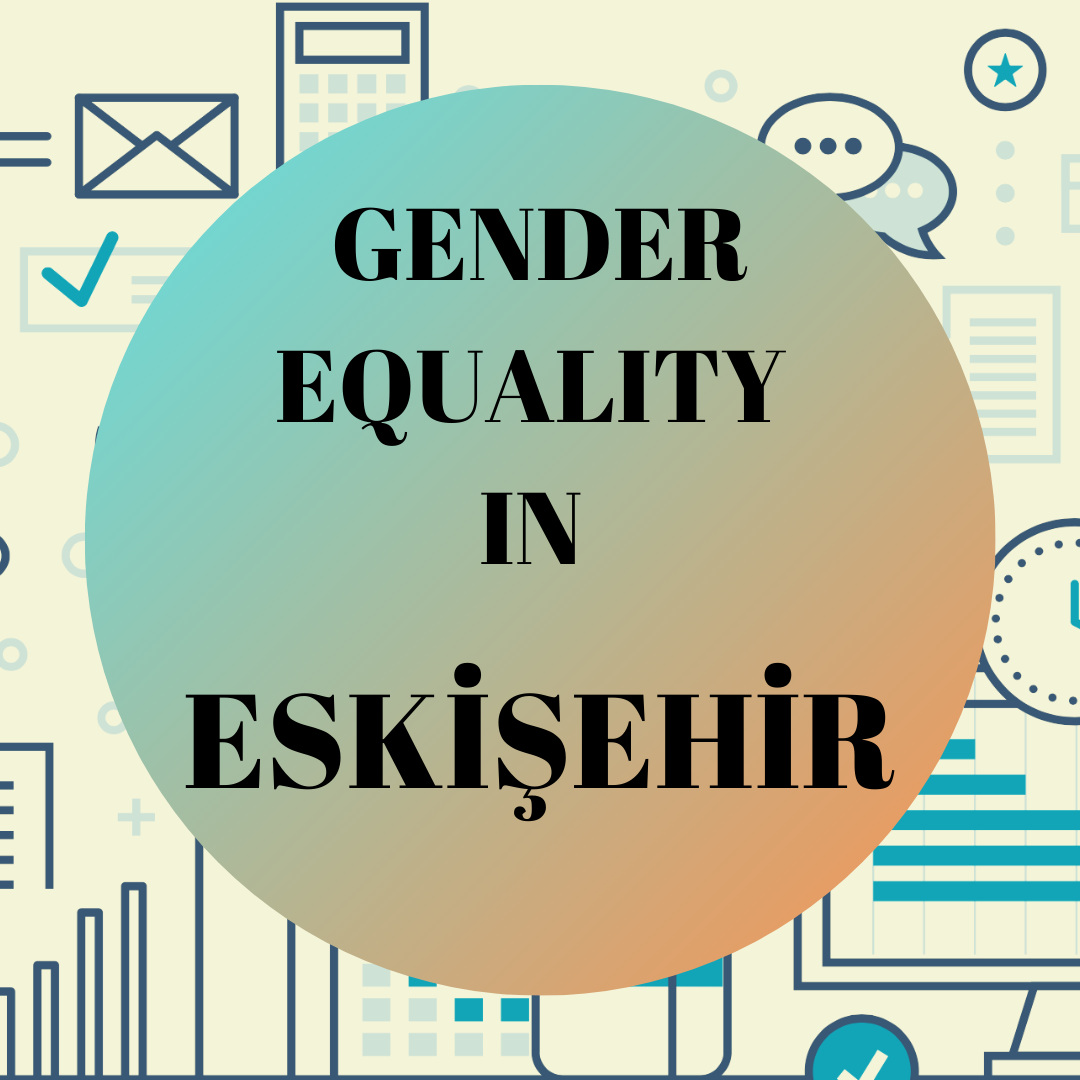 Provincial Data of Eskişehir Local Gender Equality Platform