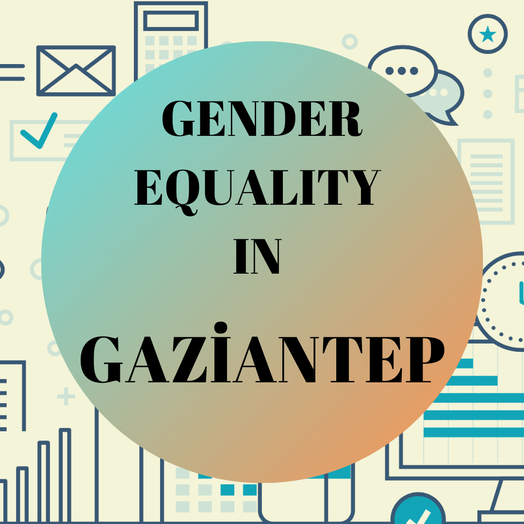 Provincial Data of Gaziantep Local Gender Equality Platform