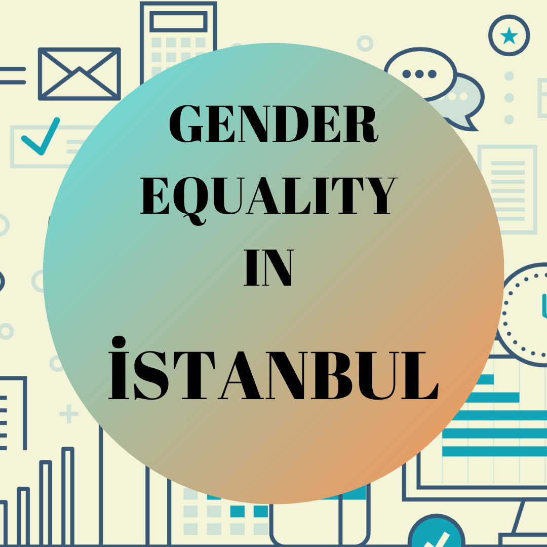 Provincial Data of İstanbul Local Gender Equality Platform