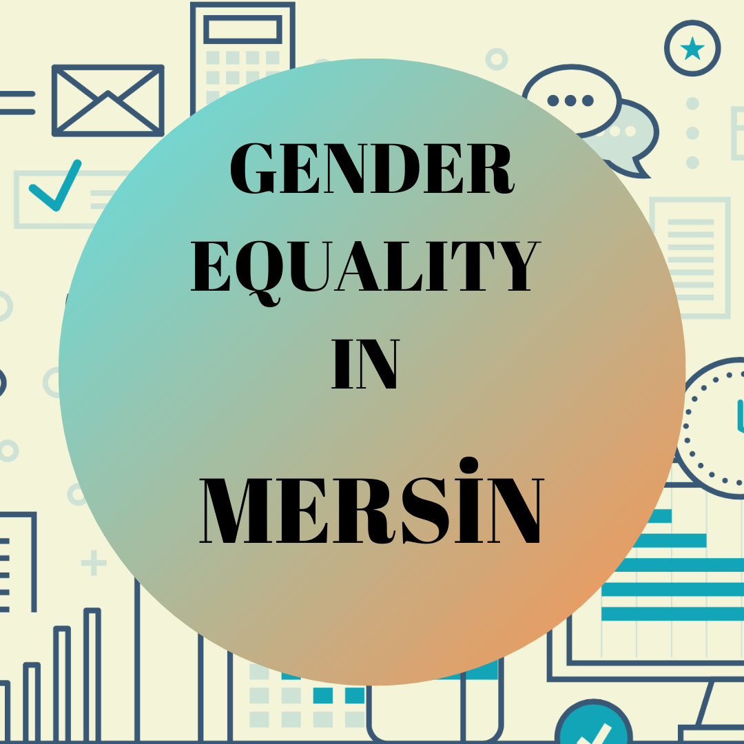 Provincial Data of Mersin Local Gender Equality Platform