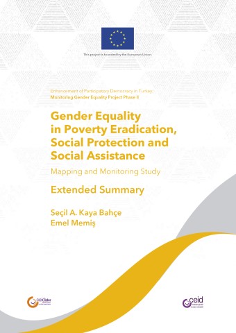 Gender Equality in Poverty Eradication, Social Protection and Social Assistance 