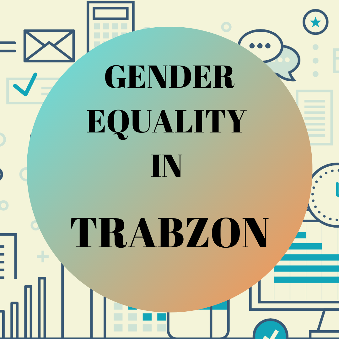 Provincial Data of Trabzon Local Gender Equality Platform